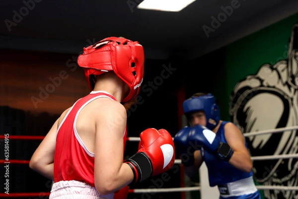 Fototapeta live fight in the ring