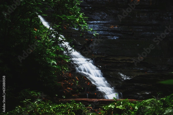 Fototapeta Falling for the beauty that flows with grace
