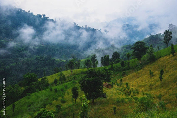 Fototapeta Embracing the calm within the clouds of a new morning