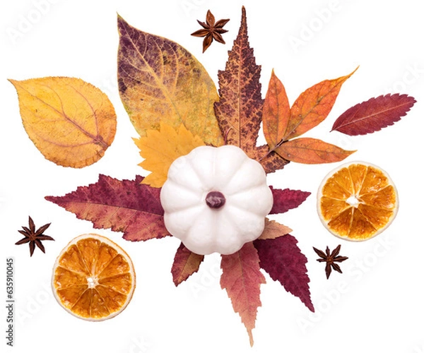 Fototapeta Autumn floral composition. White decorative pumpkin and colorful autumn leaves cut out on transparent background