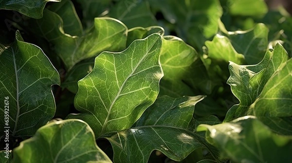 Fototapeta  a close up of a green plant with leaves on it.  generative ai