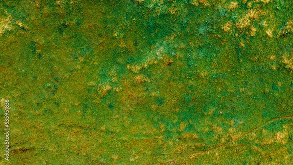 Obraz Green grass natural texture for background, top down drone view.