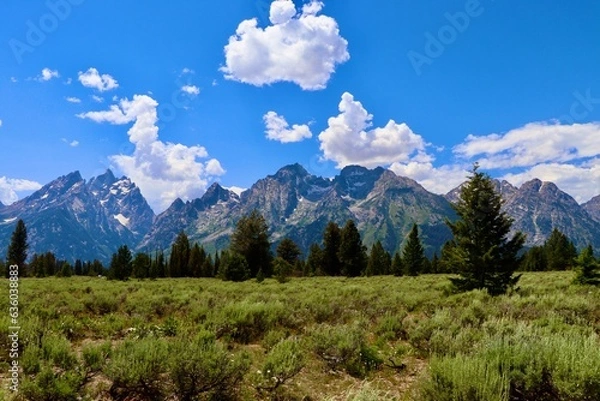 Obraz landscape with sky