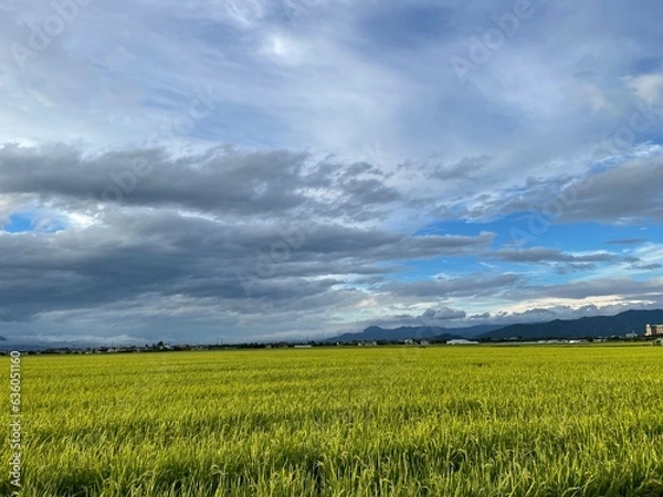 Obraz 210818田んぼ今塚

山形市今塚
田んぼ
雲
空