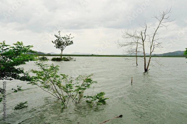 Fototapeta After the monsoon blew through causing flooding