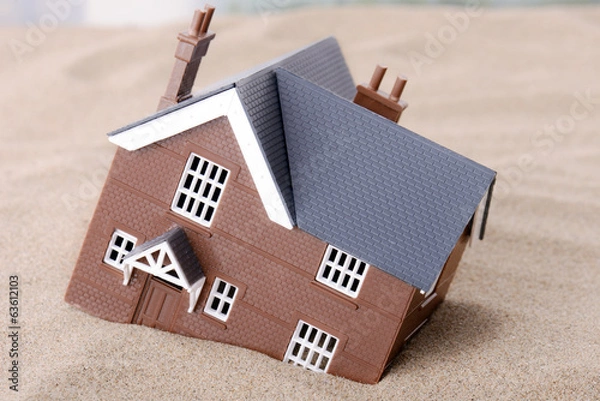 Obraz House problems