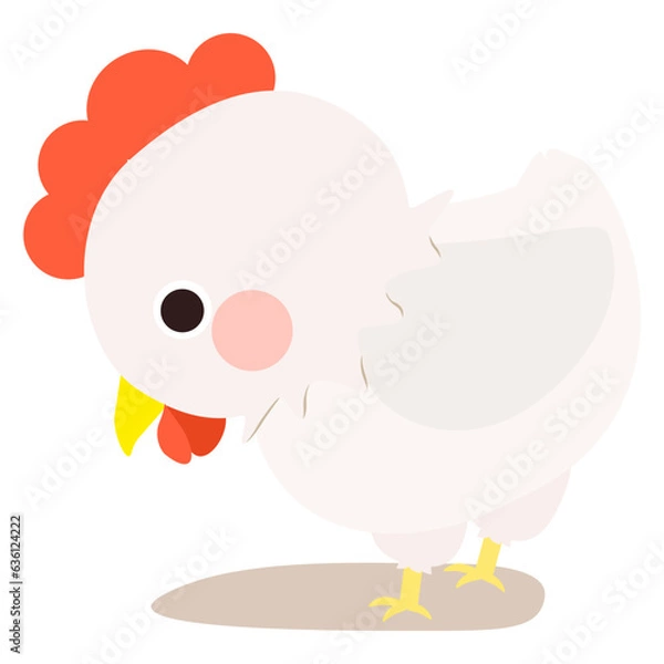 Obraz Cute little white chicken, full body, standing and looking down, side face. Isolated on white background, EPS10 vector