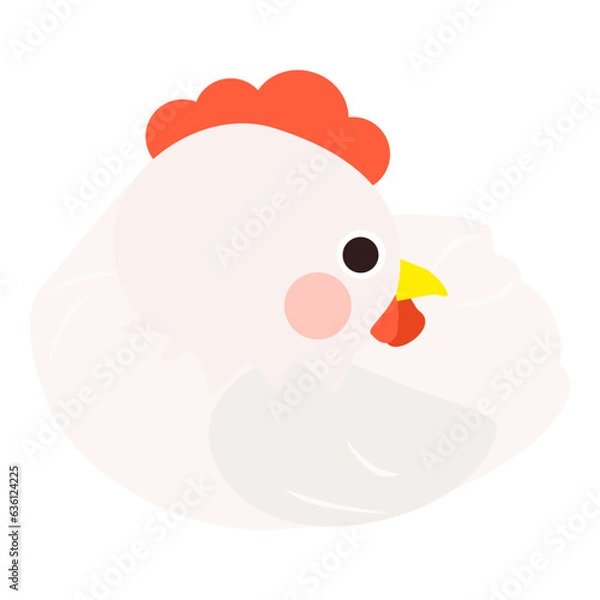 Obraz Cute little white chicken, full body, sitting and laying egg, side face. Isolated on white background, EPS10 vector