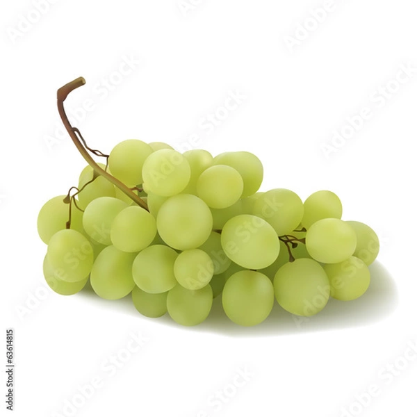 Fototapeta Grapes