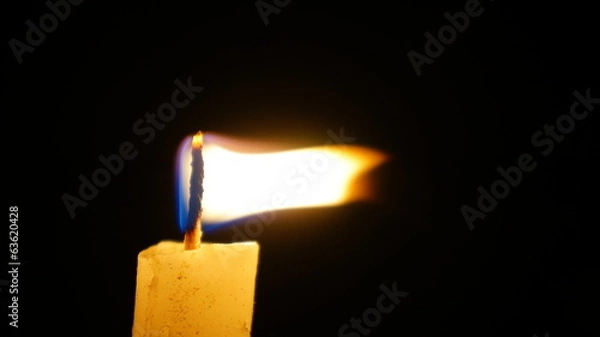 Fototapeta Vela