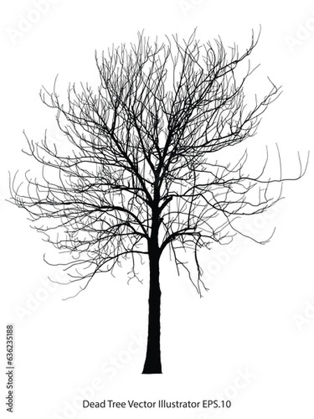 Obraz Dead Tree without Leaves Vector Illustration Sketched, EPS 10.
