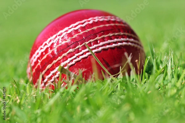 Obraz cricket ball