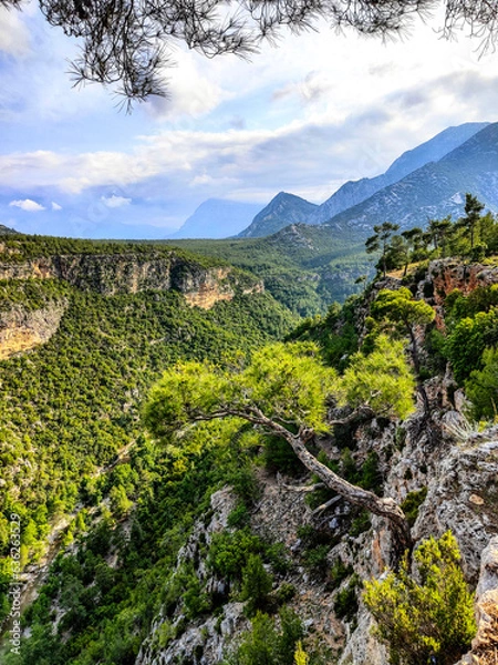 Obraz Güver Uçurumu