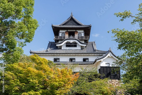 Obraz 夏の犬山城天守閣_犬山城内庭園