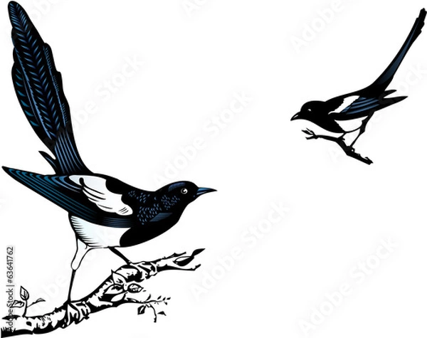 Obraz Magpies