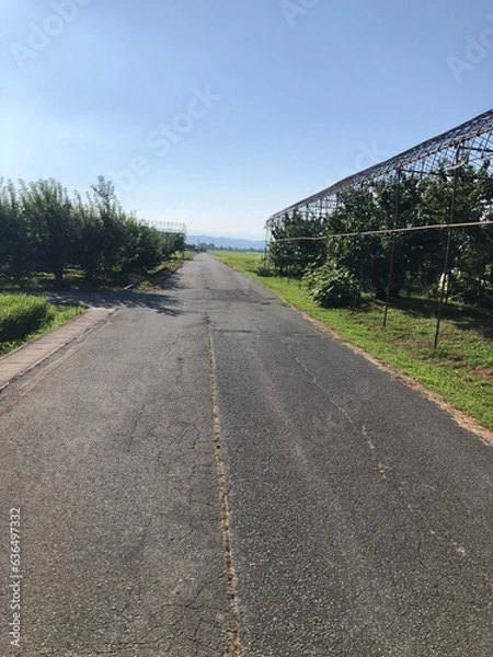 Obraz 200820イオン夕日農道

山形市千手堂
畑
農道