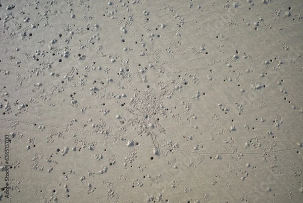 Fototapeta Hole in the sand on the beach during low tide
