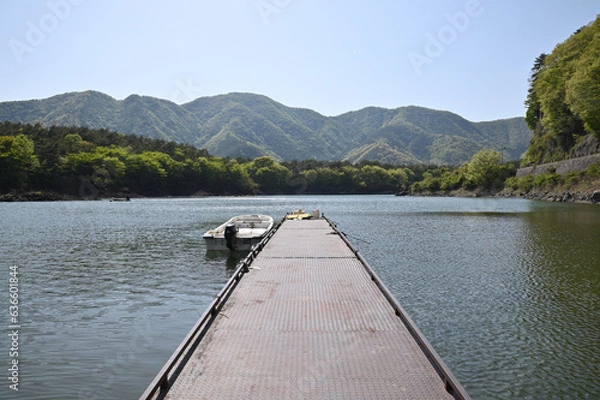 Obraz 精進湖の眺め