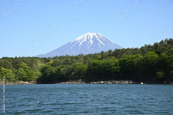 Obraz 精進湖から望む富士山