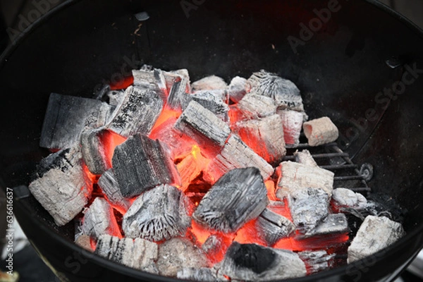 Obraz キャンプで燃える炭