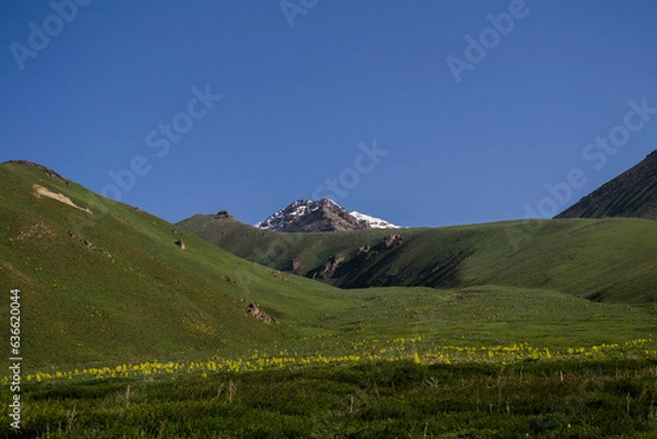 Obraz landscape in the mountains
