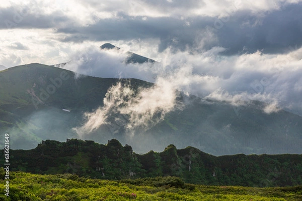 Fototapeta Fog and clouds in the Carpathians.