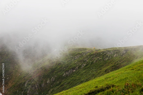 Fototapeta A walk in the mountains