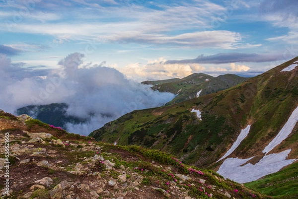 Fototapeta Fog and clouds in the Carpathians.