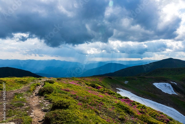 Fototapeta Fog and clouds in the Carpathians.