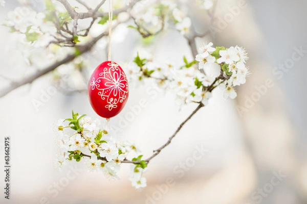 Fototapeta Easter traditional egg hanging on bough with cherry blossom