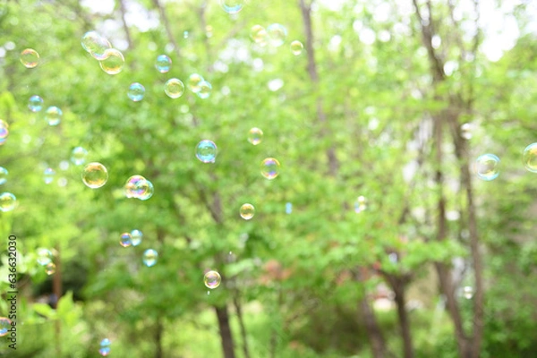 Obraz シャボン玉が美しい