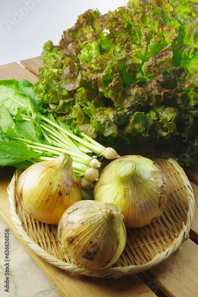 Fototapeta 収穫した春野菜たち