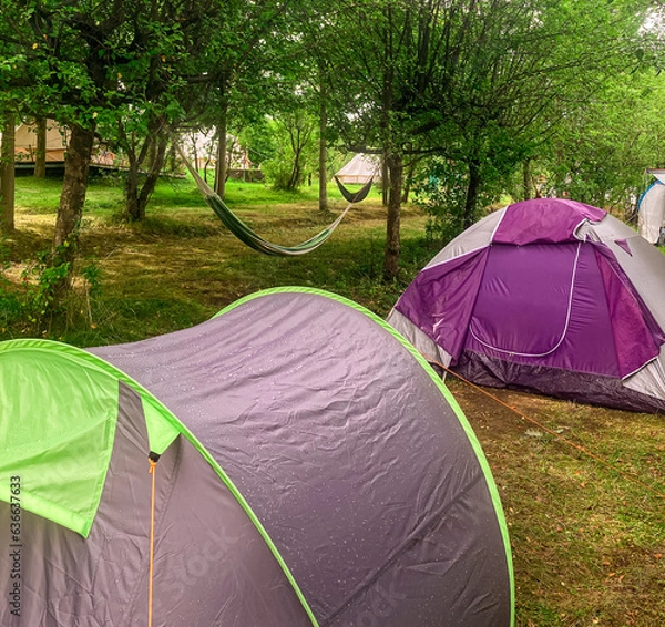Fototapeta Tents installed in the campsite in summer