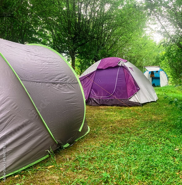 Fototapeta Tents installed in the campsite in summer