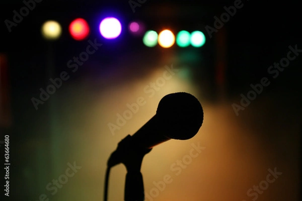 Obraz Microphone on stage