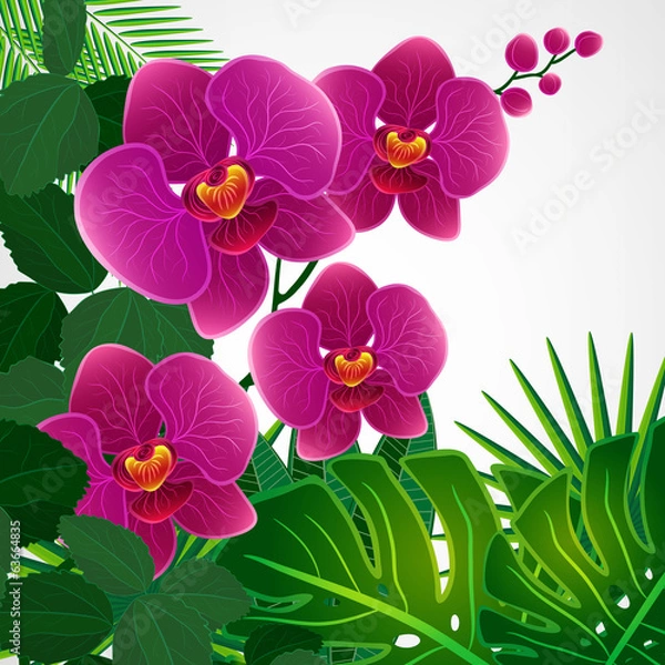 Fototapeta Floral design background. Orchid flowers.