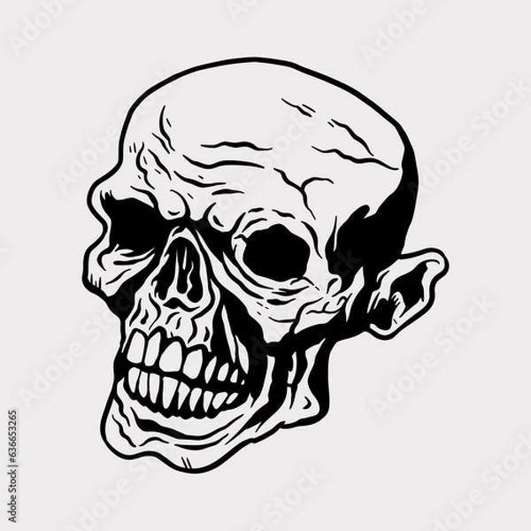 Obraz human skull illustration