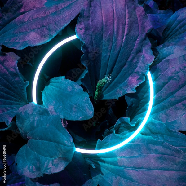 Fototapeta Сreative fluorescent color layout. Glowing neon light circle frame on leaves background in dark, luminescent color palette. Copy space for banner, poster, card, sale advertisement, party invitation.