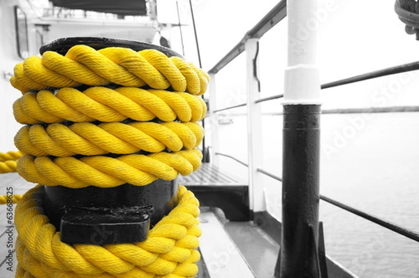 Obraz Yellow Rope
