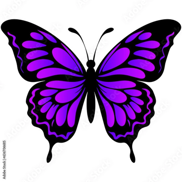 Fototapeta Colorful purple and pink butterfly isolated on white background