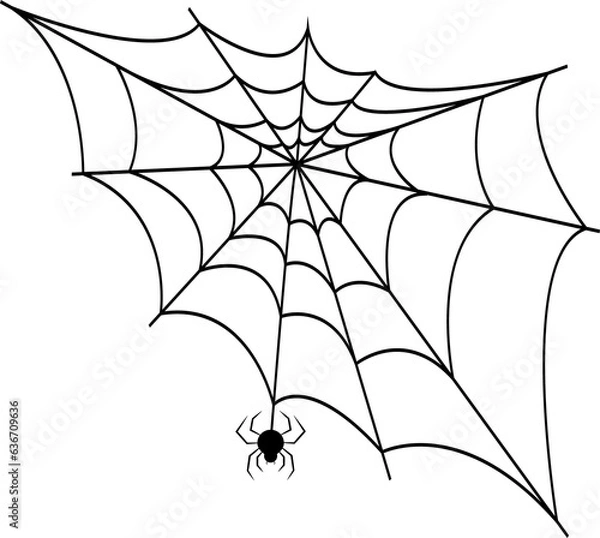 Fototapeta The web is black with a transparent background, the spider on the web