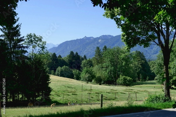Obraz Bergblick oberhalb des Staffelsees