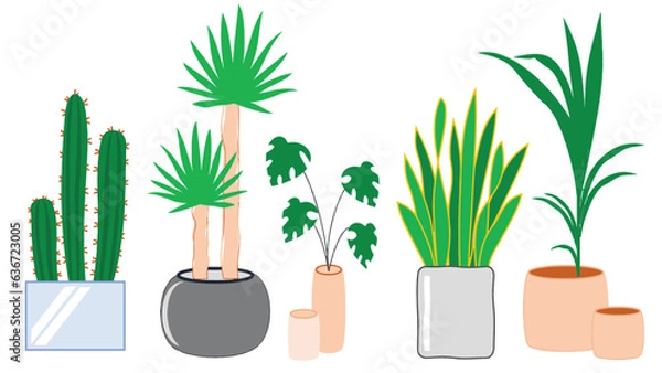 Fototapeta cute elements of indoor plant vector illustration