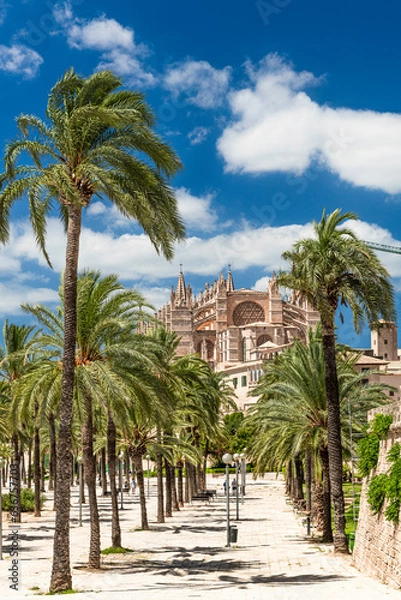 Fototapeta Parc de la Mar with La Seu Cathedral - Palma de Mallorca - 8739