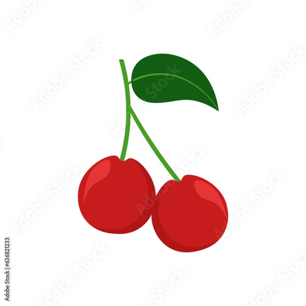 Obraz Fruit Vector Illustration
