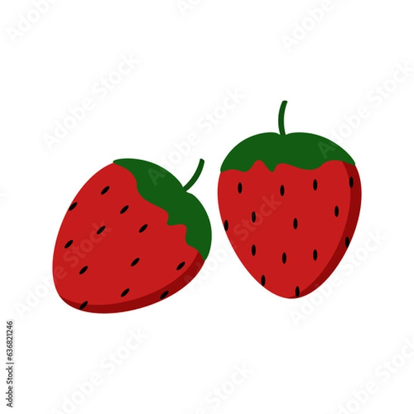 Obraz Fruit Vector Illustration