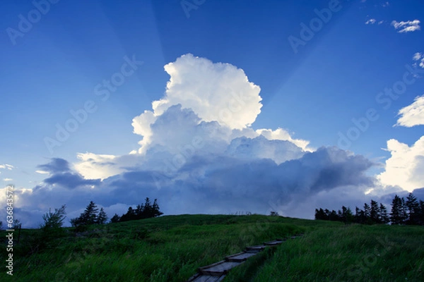 Fototapeta 入道雲