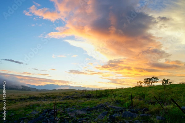 Obraz 夕暮れの草原