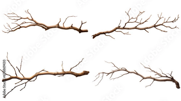 Fototapeta A single branch Generative AI