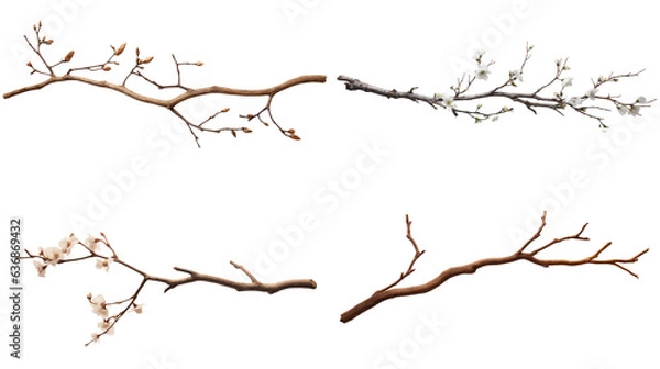 Fototapeta A single branch Generative AI